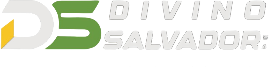 Divino Salvador